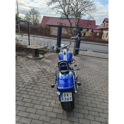 Harley-Davidson CVO Softail Springer 2009  – Niebieski Płomienie